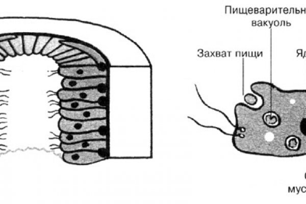 Кракен бошки