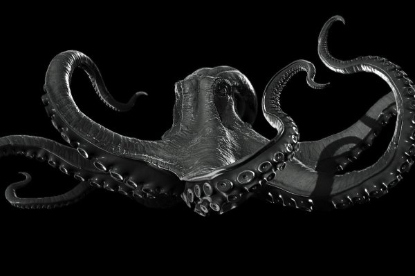 Kraken 14at