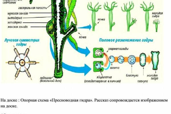 Вход кракен